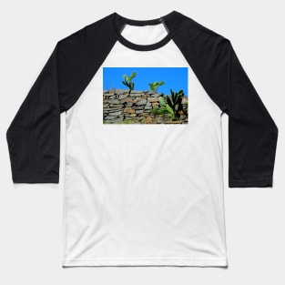 Site archéologique de Patzcuaro Baseball T-Shirt